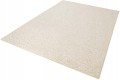 Dywan-do-salonu-200x300cm-petelkowy-tuftowany-kremowy-miekki-wlos-EAN-GTIN-4260482449193.jpg
