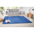 Chodnik-niebieski-80x300cm-na-korytarz-przepdpokoj-z-krotkim-wlosem-Kod-producenta-101153.jpg