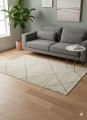 nr 311 100x130 (2).jpeg