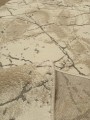 nr 439 80x250 (3).jpeg