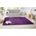 Dywan-jednokolorowy-67x120cm-fioletowy-z-miekkim-krotkim-wlosem-Kod-producenta-101150-PURPLE-67X120.jpg