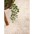 Dywan-petelkowy-do-salonu-160x230cm-TED-BAKER-Nothing-HILL-kremowo-bezowy-Szerokosc-produktu-160-cm.jpg